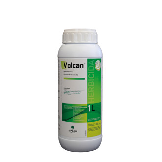 Volcan