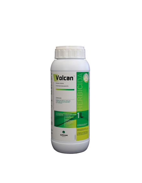 Volcan Volcan