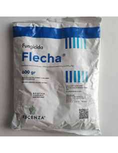 Flecha 600 Gr