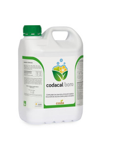 Codacal Boro 5L