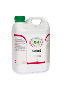 Codasil