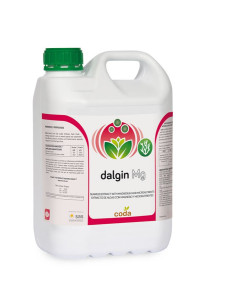 Dalgin MG